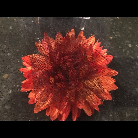 Meet your Posher, Rita - Picture 1 of 1